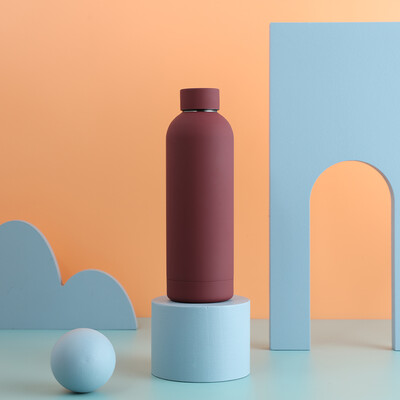 Watersy 500 ML termosica od nehrđajućeg čelika s malim ustima, sportski kuhalo za vodu Keep Cold Termalna šalica, prijenosna izolirana šalica, kuhalo za vodu za teretanu