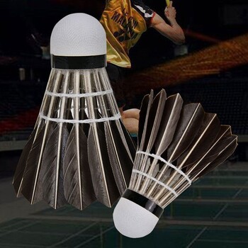 6/12Pcs Household Badminton Training Ball Stable Stable Durable Badminton Shuttlecock Black Goose Feather Professional Χονδρική