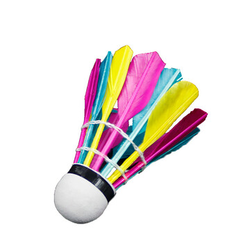 WELKIN Badminton Balls Επαγγελματικές πολύχρωμες μπάλες μπάντμιντον για προπόνηση Shuttlecocks Ανθεκτικά αξεσουάρ προπόνησης μπάντμιντον