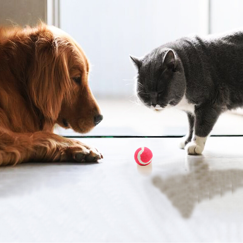 Tenis za kućne ljubimce Male teniske loptice loptice za pse 38mm teniske loptice 10kom Tenis za mačke i pse