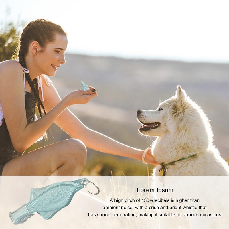Plastična sudačka zviždaljka za sportski trening Profesionalna zviždaljka za nogometnog košarkaškog suca Zviždaljke alata za preživljavanje na otvorenom
