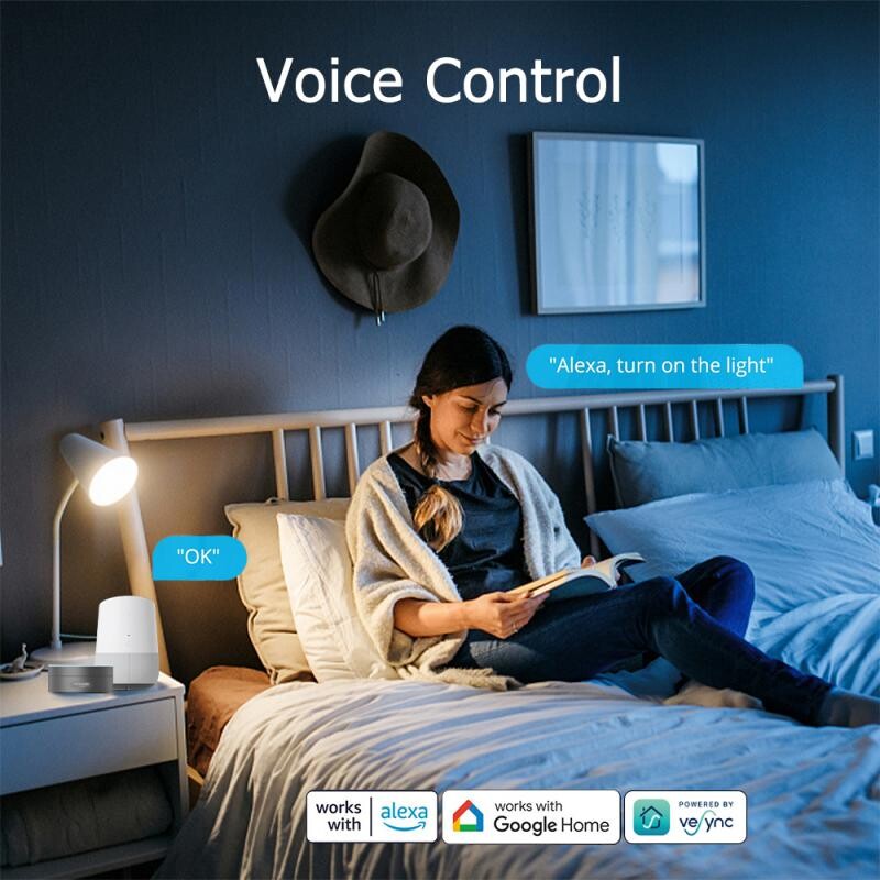 16A/20A „WiFi Smart Plug“ belaidis maitinimo stebėjimas EU lizdas buitinės technikos APP nuotolinio valdymo pultelis veikia su „Alexa Google Home“