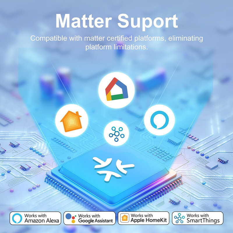 Matter EU Plug WiFi Smart Socket 16A Πρίζα οικιακής συσκευής Τηλεχειριστήριο Λειτουργία φωνής Λειτουργεί με το Alexa Google Home HomeKit