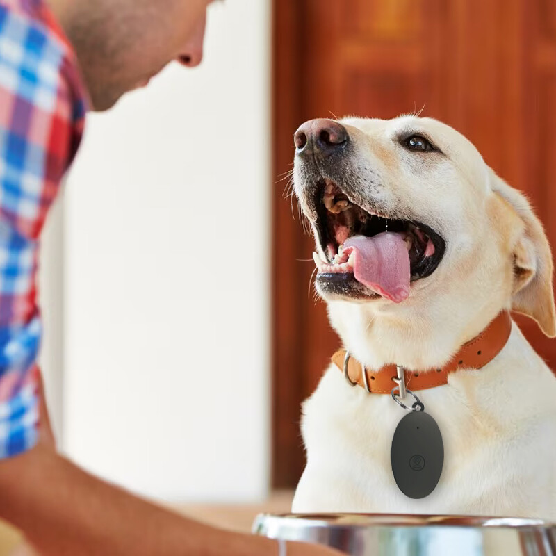 Găsitor de pisici pentru câini Mini dispozitiv de urmărire GPS Tracker anti-pierdere pentru copii Portofel cheie pentru animale de companie Localizator inteligent de urmărire Bluetooth IOS/Android