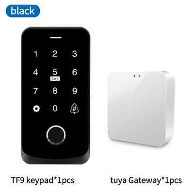 NFC Bluetooth Tuya juurdepääsu juhtimissüsteem IP65 veekindel RFID IC sõrmejäljeklaviatuur Taustvalgustusega puuteekraan