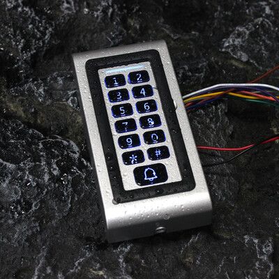 RFID metalinė prieigos valdymo klaviatūra vandeniui atspari IP67 lietaus lauko 3000 naudotojų durų atidarytuvas elektrinei užrakto sistemai su 10 vnt raktu