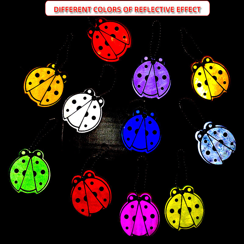 10 tk armas lepatriinu helkur võtmehoidja ripats amulett kott tarvikud riidepuu võtmehoidjad liiklusohutuse