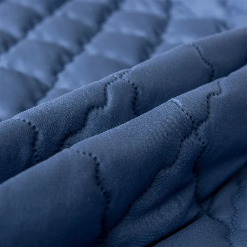 2 gabalu ūdensnecaurlaidīga spilvendrāna pret traipu mašīnā mazgājams spilvenu pārvalks guļamistabas dekors, kas piemērots bērniem un mājdzīvniekiem