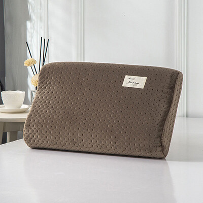 Prošivena jastučnica od lateksa Zimska topla jastučnica za spavanje za Memory Poam Jastučnica od lateksa Jastučnica za odraslu djecu