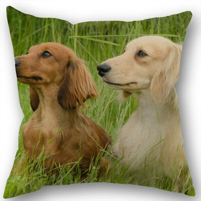 Dachshund Μαξιλαροθήκη Τετράγωνο φερμουάρ Διακόσμηση Γάμου Σπιτιού που δεν ξεθωριάζει