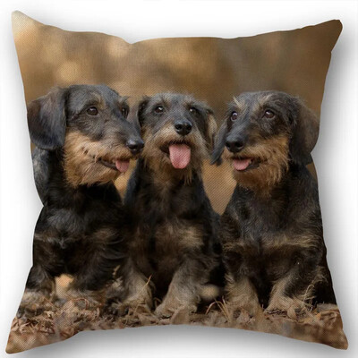 Dachshund Μαξιλαροθήκη Τετράγωνο φερμουάρ Διακόσμηση Γάμου Σπιτιού που δεν ξεθωριάζει