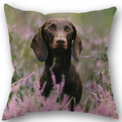Dachshund Μαξιλαροθήκη Τετράγωνο φερμουάρ Διακόσμηση Γάμου Σπιτιού που δεν ξεθωριάζει