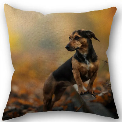 Dachshund Μαξιλαροθήκη Τετράγωνο φερμουάρ Διακόσμηση Γάμου Σπιτιού που δεν ξεθωριάζει