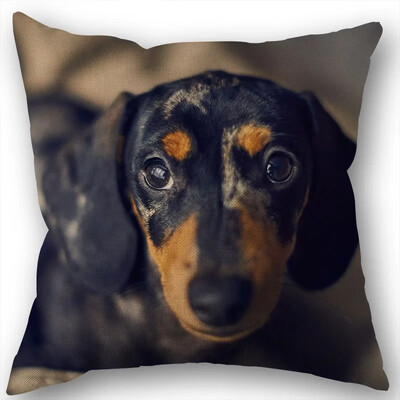 Dachshund Μαξιλαροθήκη Τετράγωνο φερμουάρ Διακόσμηση Γάμου Σπιτιού που δεν ξεθωριάζει