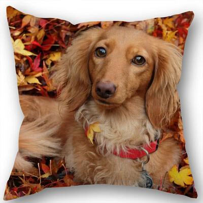 Dachshund Μαξιλαροθήκη Τετράγωνο φερμουάρ Διακόσμηση Γάμου Σπιτιού που δεν ξεθωριάζει