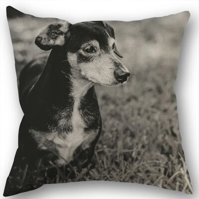 Dachshund Μαξιλαροθήκη Τετράγωνο φερμουάρ Διακόσμηση Γάμου Σπιτιού που δεν ξεθωριάζει