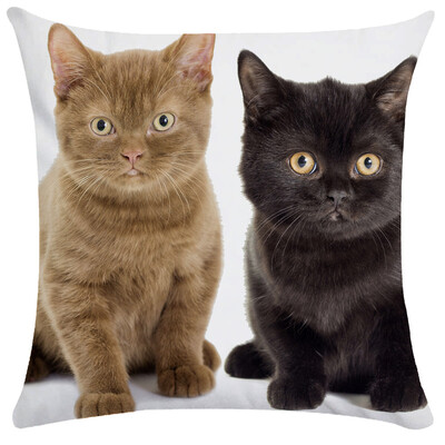 Slatki kućni ljubimac, mačka, jastučnica, mjehurić za spavanje, crni dječji poklon, jastučnica, kauč, dnevni boravak, kućni dekor po narudžbi