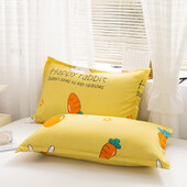 Jedan par perivih jastučnica, jedan komplet jastučnica, 48 cm X 74 cm, 2 navlake za kućanske jastučnice