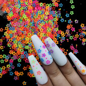 Mješavina fluorescentnog cvijeta šljive Šljokice za dizajn noktiju Svjetlucave svjetlucave ljuskice Ukrasi za nokte Gel lak Pribor za manikuru