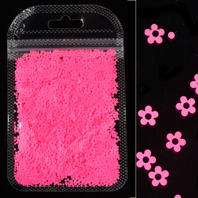 Mješavina fluorescentnog cvijeta šljive Šljokice za dizajn noktiju Svjetlucave svjetlucave ljuskice Ukrasi za nokte Gel lak Pribor za manikuru