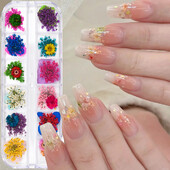 Set osušenog cvijeća 12 rešetki/paket kutija Prešano pravo prirodno cvijeće za smolasti nakit Kalup za nokte DIY mobilni telefon Ukrasi za nokte