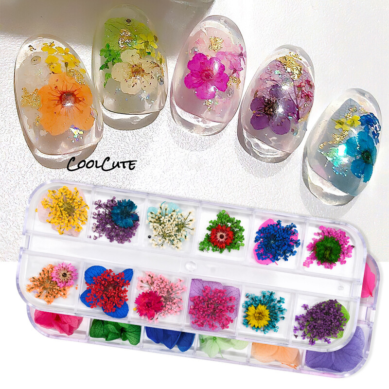 Set osušenog cvijeća 12 rešetki/paket kutija Prešano pravo prirodno cvijeće za smolasti nakit Kalup za nokte DIY mobilni telefon Ukrasi za nokte