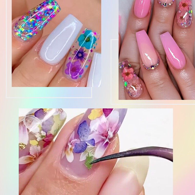 Set osušenog cvijeća 12 rešetki/paket kutija Prešano pravo prirodno cvijeće za smolasti nakit Kalup za nokte DIY mobilni telefon Ukrasi za nokte