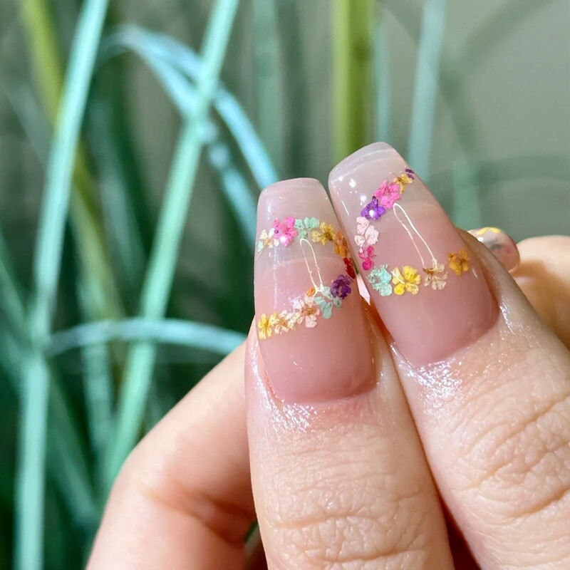 Set osušenog cvijeća 12 rešetki/paket kutija Prešano pravo prirodno cvijeće za smolasti nakit Kalup za nokte DIY mobilni telefon Ukrasi za nokte