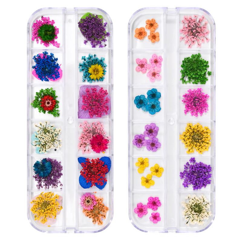 Set osušenog cvijeća 12 rešetki/paket kutija Prešano pravo prirodno cvijeće za smolasti nakit Kalup za nokte DIY za mobilni telefon Ukrašavanje noktiju