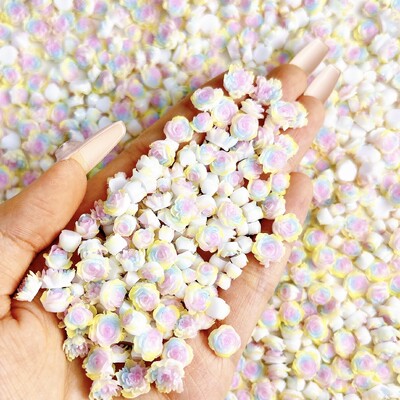 50 komada svjetlećih miješanih smola s ružinim cvijetom Nail Art Charms DIY serija simuliranih cvjetova Ukrasi za nokte Manikura DIY rukotvorine