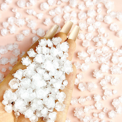 50 komada svjetlećih miješanih smola s ružinim cvijetom Nail Art Charms DIY serija simuliranih cvjetova Ukrasi za nokte Manikura DIY rukotvorine