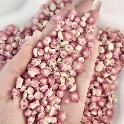 50 komada svjetlećih miješanih smola s ružinim cvijetom Nail Art Charms DIY serija simuliranih cvjetova Ukrasi za nokte Manikura DIY rukotvorine