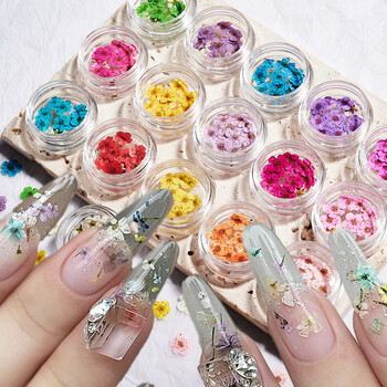 160 τμχ/Σετ Μικτά αποξηραμένα λουλούδια Nail Art Charms 16Box Colorful Mini Real Natural Dry Flowers Resin Craft Professional Nail Floral