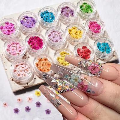 160 bucăți/set flori uscate amestecate nail art charms 16 cutii colorate mini flori uscate naturale reale artizanat rășină unghii profesionale florale