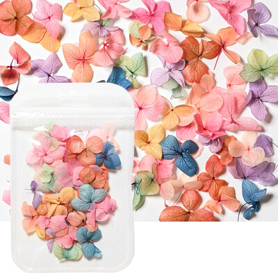 160 τμχ/Σετ Μικτά αποξηραμένα λουλούδια Nail Art Charms 16Box Colorful Mini Real Natural Dry Flowers Resin Craft Professional Nail Floral