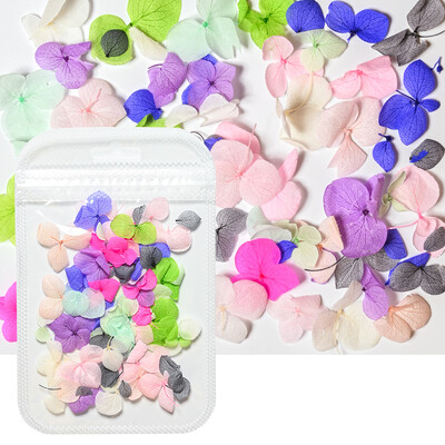 160 τμχ/Σετ Μικτά αποξηραμένα λουλούδια Nail Art Charms 16Box Colorful Mini Real Natural Dry Flowers Resin Craft Professional Nail Floral