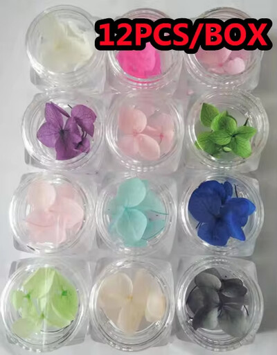 160 τμχ/Σετ Μικτά αποξηραμένα λουλούδια Nail Art Charms 16Box Colorful Mini Real Natural Dry Flowers Resin Craft Professional Nail Floral