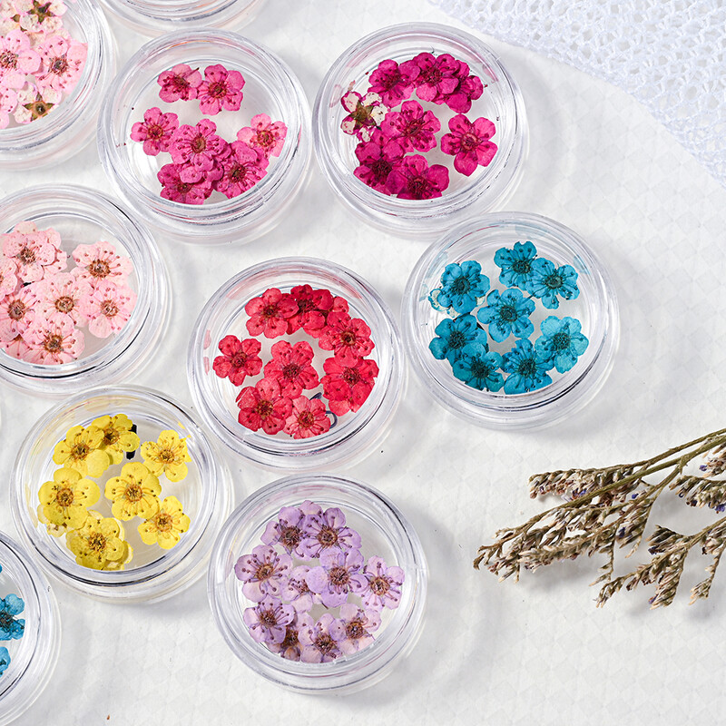 160 τμχ/Σετ Μικτά αποξηραμένα λουλούδια Nail Art Charms 16Box Colorful Mini Real Natural Dry Flowers Resin Craft Professional Nail Floral