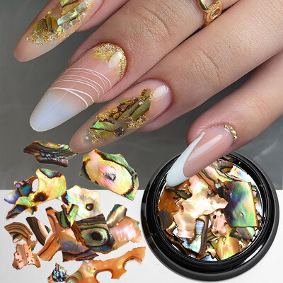 1 κιβώτιο Natural Abalone Sea Shell Flakes Παγιέτες νυχιών 3D ακανόνιστη μαρμάρινη υφή πολύτιμων λίθων νυχιών Θραύσματα πολύχρωμα DIY γοητεία νυχιών