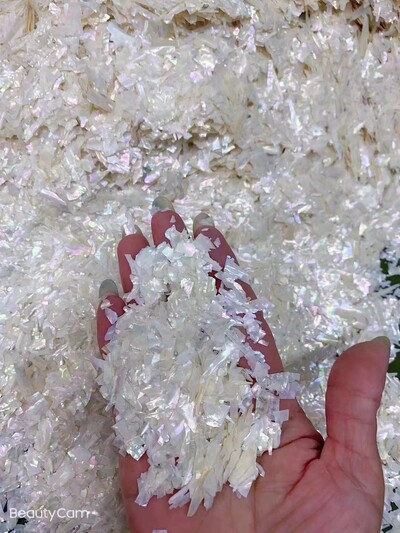 5g/vrećica Prirodna abalona školjka Nepravilna holografska kriška sa svjetlucavim noktima Nail Art Accessorie 3D šarm ukrasna tanka svjetlucava pahuljica