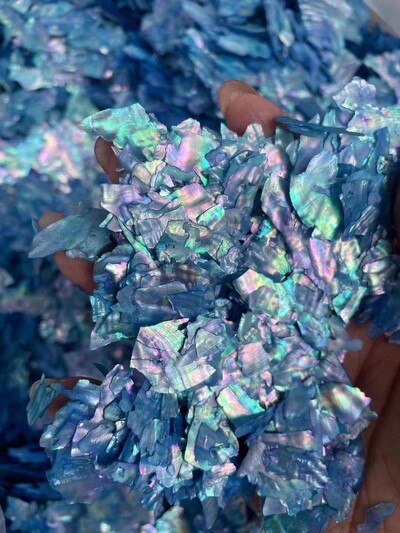 5g/vrećica Prirodna abalona školjka Nepravilna holografska kriška sa svjetlucavim noktima Nail Art Accessorie 3D šarm ukrasna tanka svjetlucava pahuljica