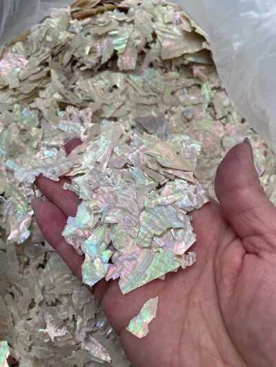 5g/vrećica Prirodna abalona školjka Nepravilna holografska kriška sa svjetlucavim noktima Nail Art Accessorie 3D šarm ukrasna tanka svjetlucava pahuljica