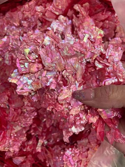 5g/vrećica Prirodna abalona školjka Nepravilna holografska kriška sa svjetlucavim noktima Nail Art Accessorie 3D šarm ukrasna tanka svjetlucava pahuljica