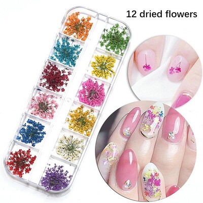 Jedinstveni pribor za nokte Visokokvalitetni ukrasi za nokte Prekrasne izuzetne naljepnice za nokte Salon za nokte Kvalitetna manikura Osušeno cvijeće
