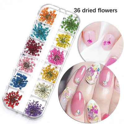 Jedinstveni pribor za nokte Visokokvalitetni ukrasi za nokte Prekrasne izuzetne naljepnice za nokte Salon za nokte Kvalitetna manikura Osušeno cvijeće