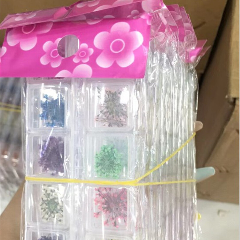 Jedinstveni pribor za nokte Visokokvalitetni ukrasi za nokte Prekrasne izuzetne naljepnice za nokte Salon za nokte Kvalitetna manikura Osušeno cvijeće