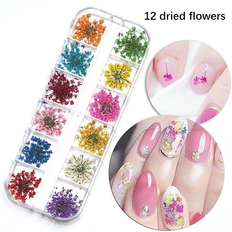 Jedinstveni pribor za nokte Visokokvalitetni ukrasi za nokte Prekrasne izuzetne naljepnice za nokte Salon za nokte Kvalitetna manikura Osušeno cvijeće