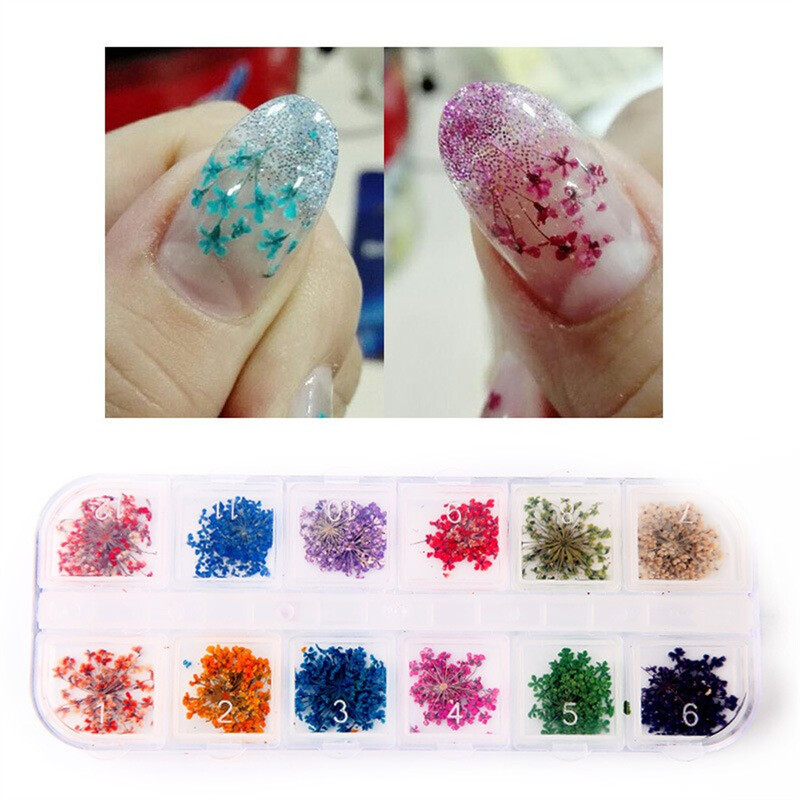 Jedinstveni pribor za nokte Visokokvalitetni ukrasi za nokte Prekrasne izuzetne naljepnice za nokte Salon za nokte Kvalitetna manikura Osušeno cvijeće