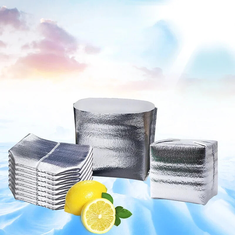 10 kom izolirane aluminijskom folijom vrećice za pohranu hrane od pjene za led Termalni hladnjak za višekratnu upotrebu zalogaj za ručak Bento piknik Vruća i hladna vrećica