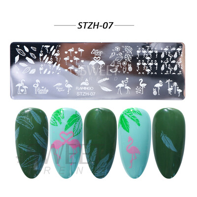 Χριστουγεννιάτικη πλάκα σφράγισης χριστουγεννιάτικων χριστουγεννιάτικων χριστουγεννιάτικων φύλλων νιφάδα χιονιού Dreamcatcher για βερνίκι νυχιών Εργαλεία προτύπων εκτύπωσης εικόνας BESTZ-N